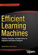 Efficient Learning Machines